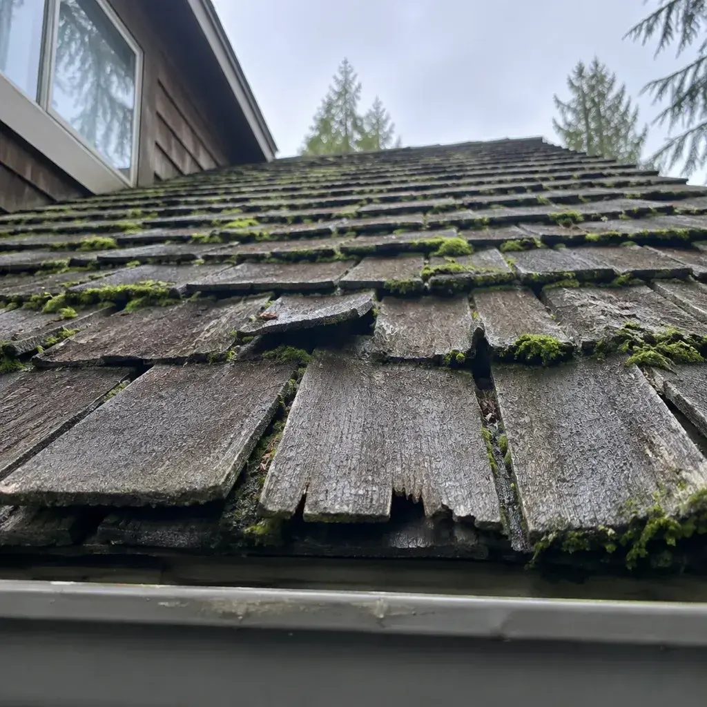 Wood Shake Roof Leak Repair roof leak repair in Renton, WA